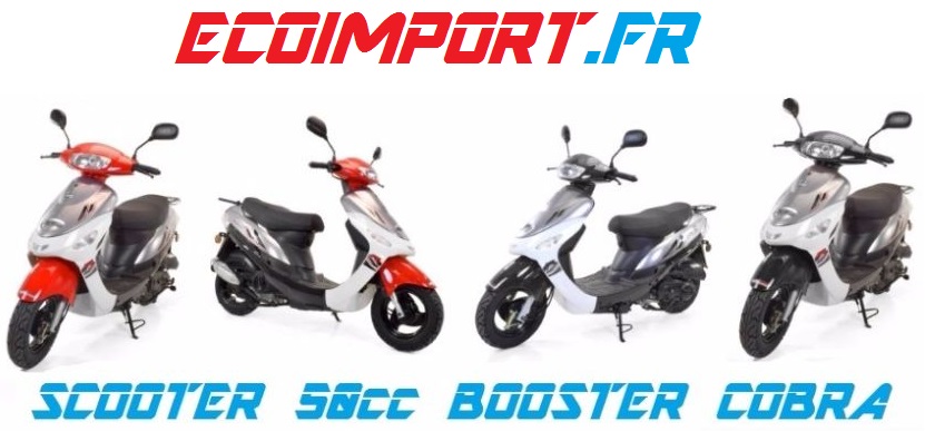 ecoimport scooter 50cc pas cher